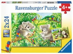 Ravensburger Puzzle Koale in pande 2x24 kosov