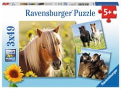 Ravensburger Puzzle Poniji 3x49 kosov
