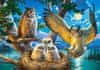 Puzzle Owl družina 500 kosov