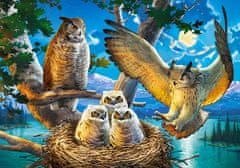 Castorland Puzzle Owl družina 500 kosov
