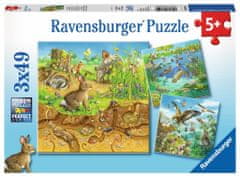 Ravensburger Puzzle Živali v svojih domovih 3x49 kosov