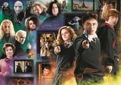 Trefl Puzzle Harry Potter: Čarovniški svet 1000 kosov