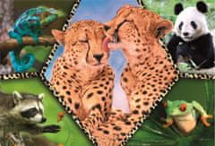 Trefl Puzzle Animal Planet: Čudovita narava 100 kosov
