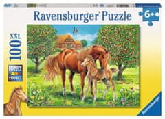 Ravensburger Puzzle Konji na pašniku XXL 100 kosov