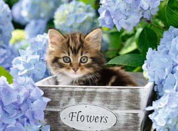 Ravensburger Sestavljanka Little kitten XXL 300 kosov