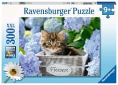 Ravensburger Sestavljanka Little kitten XXL 300 kosov