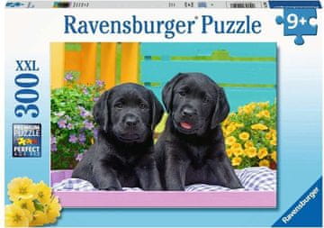 Ravensburger Puzzle Black Labradors XXL 300 kosov
