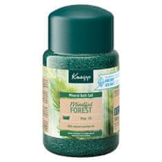Kneipp Mindful Forest kopalna sol (Neto kolièina 500 g)