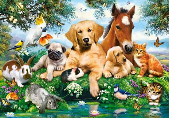 Castorland Puzzle Summer Friends 500 kosov