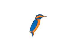 BeWooden broška iz lesa Kingfisher Brooch univerzalna