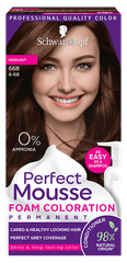 Perfect Mousse barva za lase, 668 lešnik