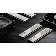 G.Skill Ripjaws S5 pomnilnik (RAM), 32GB (2x16GB), DDR5-5200MHz, CL36, 1.20V, bel (F5-5200J3636C16GX2-RS5W)