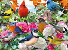 Ravensburger Puzzle Vrtne ptice 500 kosov