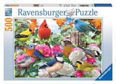 Ravensburger Puzzle Vrtne ptice 500 kosov