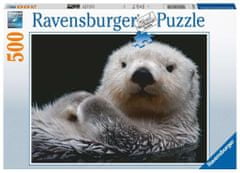 Ravensburger Puzzle Cute little otter 500 kosov