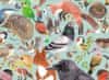 Ravensburger Puzzle Garden visitors 500 kosov