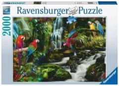 Ravensburger Puzzle Pisane papige v džungli 2000 kosov