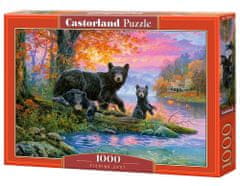 Castorland Puzzle Medvedki na lovu 1000 kosov
