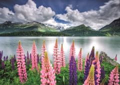 Educa Puzzle Cvetje na obali jezera Sils, Švica 1500 kosov