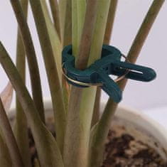 Netscroll  Sponke za pritrjevanje rastlin, uporabne in trpežne objemke za pokončno rast, zunaj ali znotraj, podpora za paradižnike, kumare, orhideje, vrtnice, dve velikosti, (20 kos.), ClampsGarden