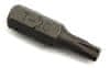 Torx bit 1/4" T25 X 25Mm