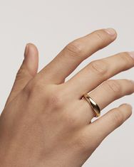 PDPAOLA Fino pozlačen prstan iz zlata PIROUETTE AN01-462 (Obseg 50 mm)