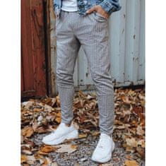 Dstreet Moške elegantne hlače POLA sive barve ux3433 XXL