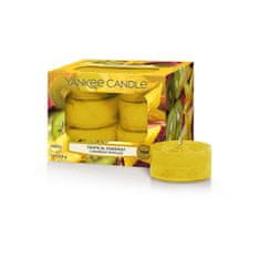 Yankee Candle Aromatične čajne Tropica l Starfruit 12 x 9,8 g