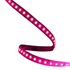 ORO Barvni LED trak svetlo pink "BRIGHT PINK" 14,6w/m 12V IP20 5m
