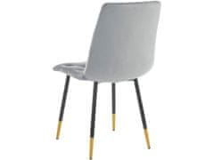 Danish Style Jedilni stol Lilith (SET 2), siva