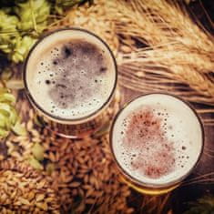 DUKA Komplet 4 Kozarcev Za Pivo Beer 460 Ml Prozorno Steklo