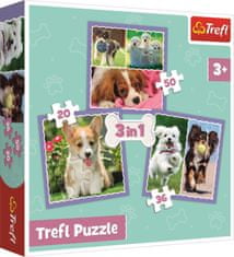 Trefl Puzzle Cute puppies 3v1 (20,36,50 kosov)