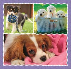 Trefl Puzzle Cute puppies 3v1 (20,36,50 kosov)