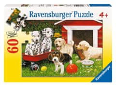 Ravensburger Puzzle Puppy party 60 kosov