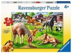 Ravensburger Puzzle Happy horses 60 kosov