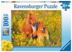 Ravensburger Puzzle Shetlandski poniji XXL 100 kosov