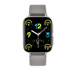 Watchmark Smartwatch SMARTONE silver/grey