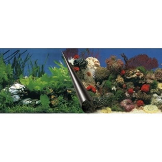 EBI Akvarijsko ozadje Stone+Coral 60 x 30 cm