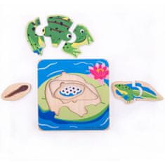 Bigjigs Toys Žabe življenjski cikli sestavljanka