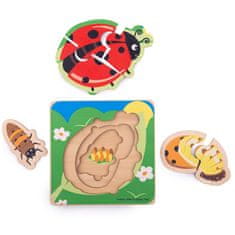 Bigjigs Toys Ladybug Življenjski cikli vstavite sestavljanko