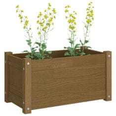 Vidaxl Vrtno cvetlično korito medeno rjavo 60x31x31 cm trdna borovina