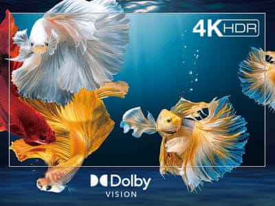 Tehnologiji HDR in Dolby Vision
