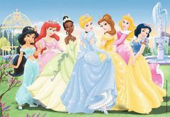Ravensburger Puzzle Beautiful princesses 2x24 kosov