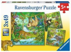 Ravensburger Puzzle Živali v džungli 3x49 kosov