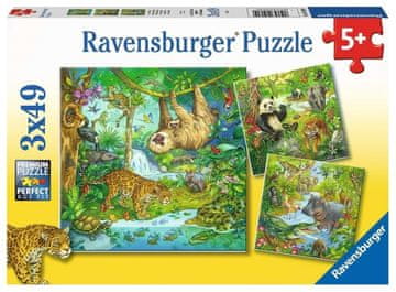 Ravensburger Puzzle Živali v džungli 3x49 kosov