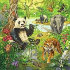 Ravensburger Puzzle Živali v džungli 3x49 kosov