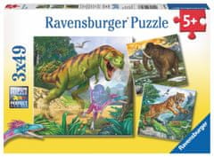 Ravensburger Puzzle True rulers 3x49 kosov