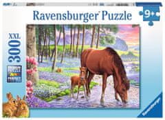 Ravensburger Puzzle Miren sončni zahod XXL 300 kosov