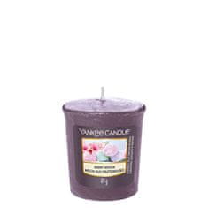 Yankee Candle Aromatična votivna sveča Berry Mochi 49 g