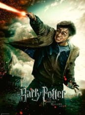 Ravensburger Puzzle Harry Potter and the Deathly Hallows XXL 100 kosov